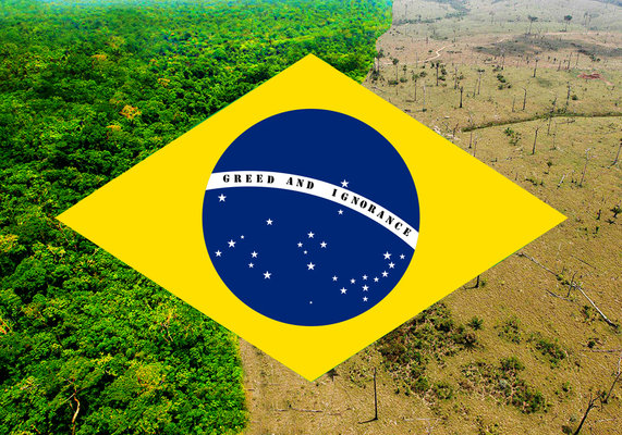 Flag brazil web